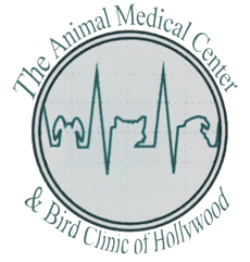 Animal Medical Center & Bird Clinic Of Hollywood