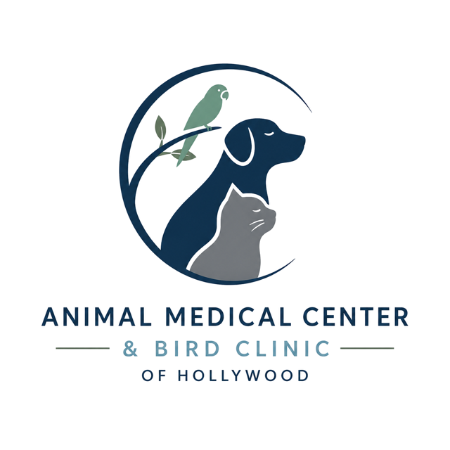 Animal Medical Center & Bird Clinic Of Hollywood